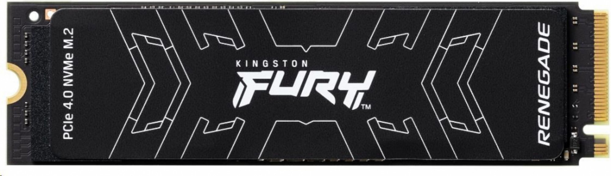 Kingston Fury Renegade