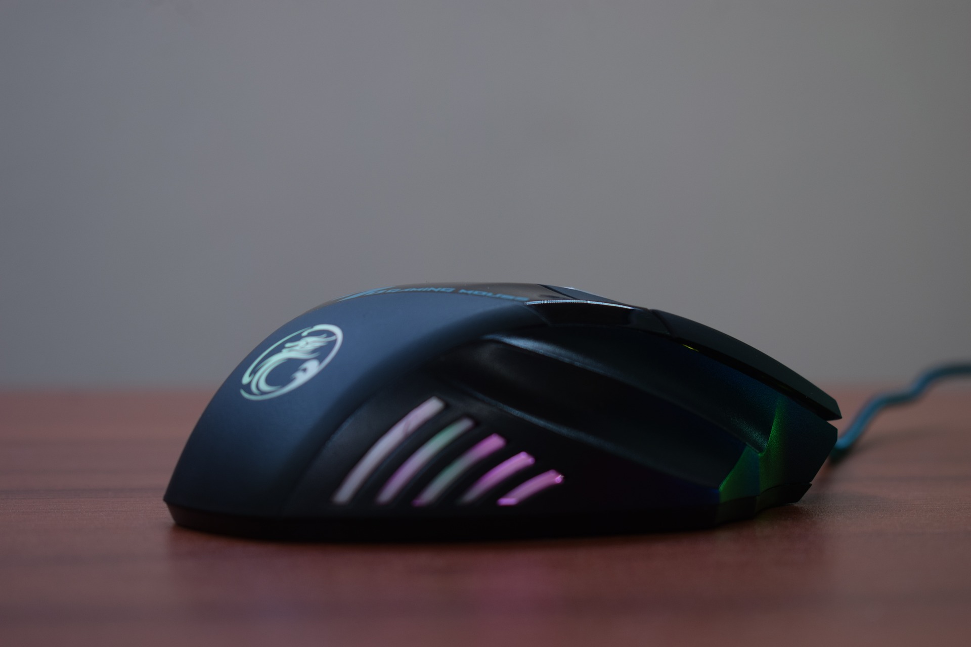 Roccat Gaming Mouse